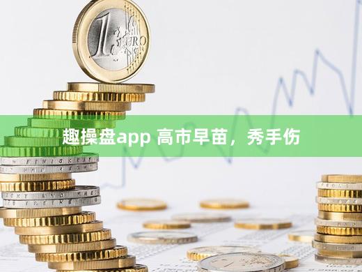 趣操盘app 高市早苗，秀手伤