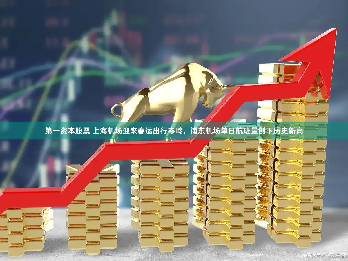 第一资本股票 上海机场迎来春运出行岑岭，浦东机场单日航班量创下历史新高