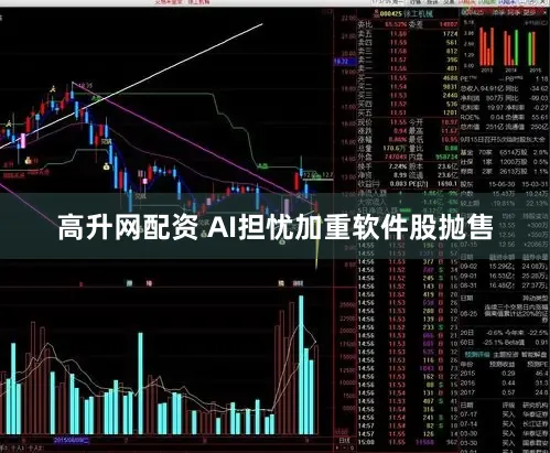 高升网配资 AI担忧加重软件股抛售