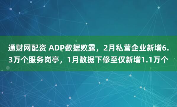 通财网配资 ADP数据败露，2月私营企业新增6.3万个服务岗亭，1月数据下修至仅新增1.1万个