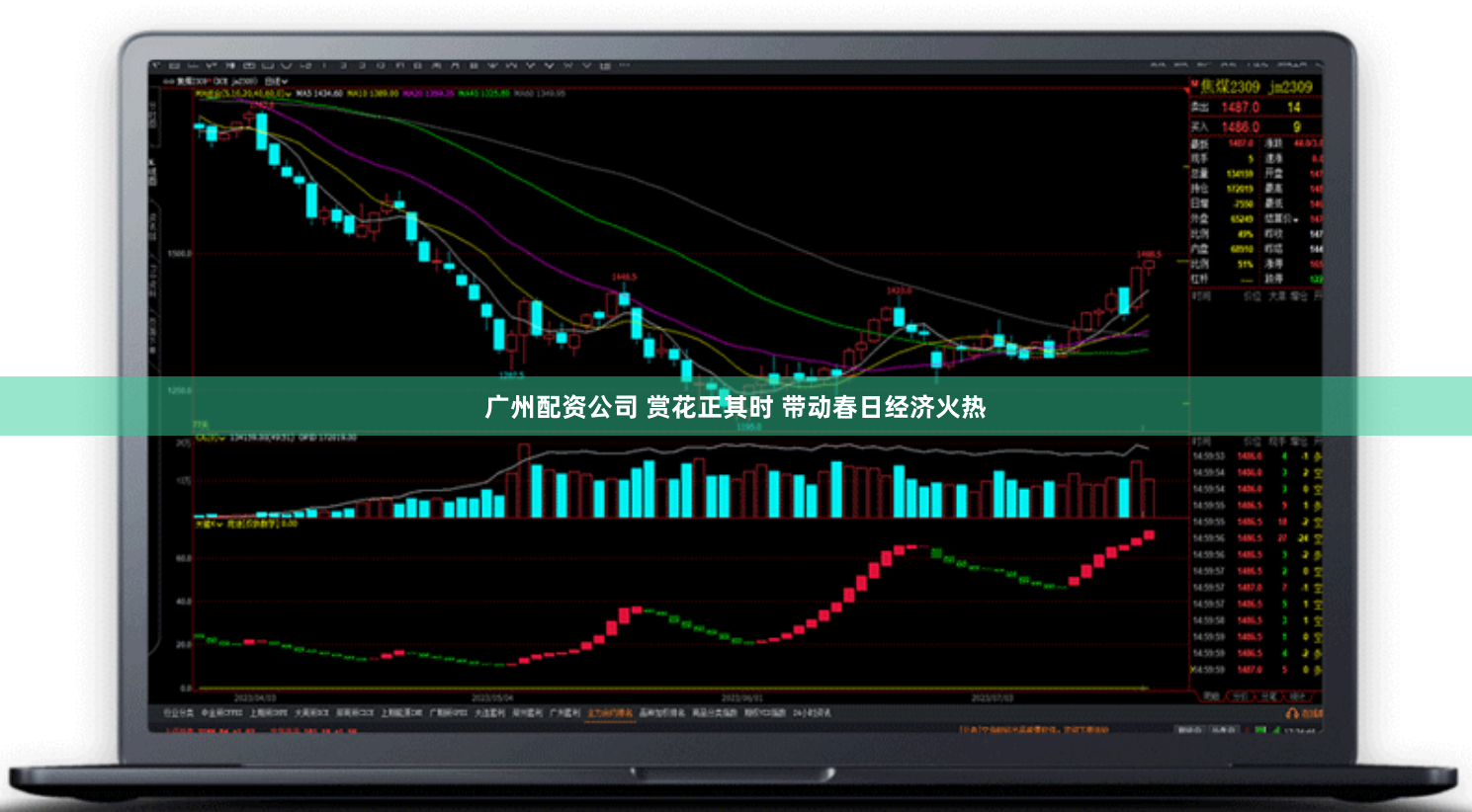 广州配资公司 赏花正其时 带动春日经济火热