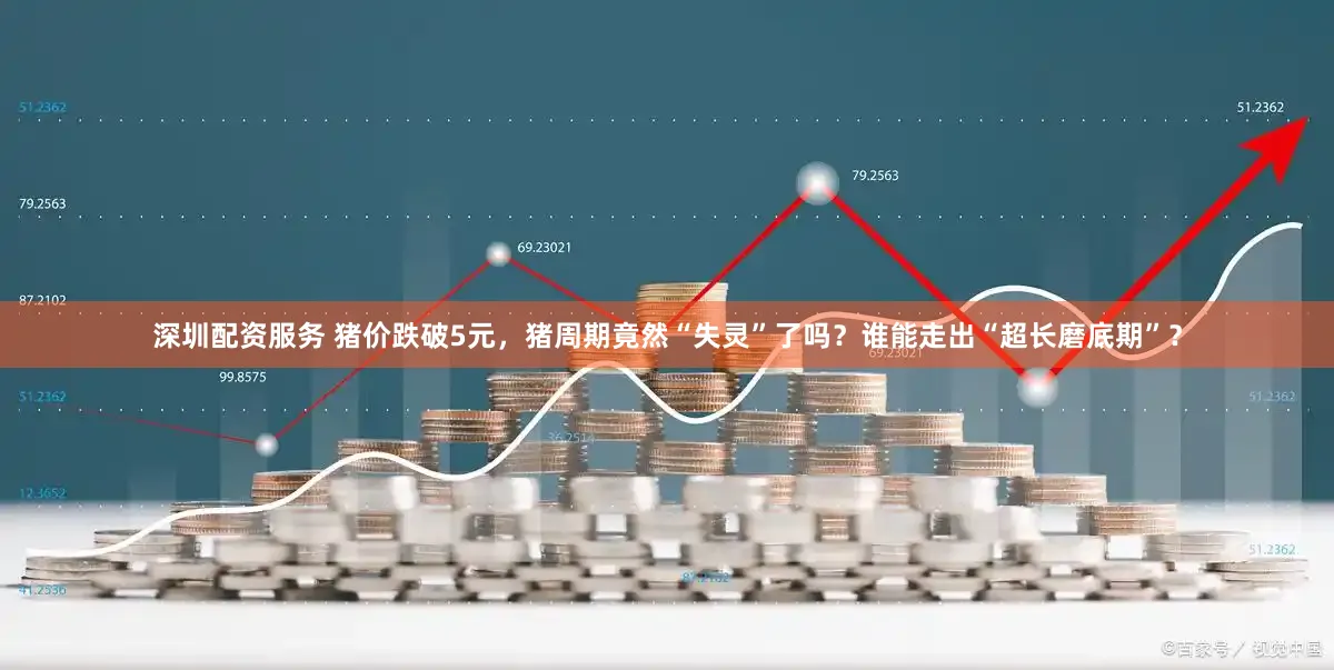 深圳配资服务 猪价跌破5元，猪周期竟然“失灵”了吗？谁能走出“超长磨底期”？