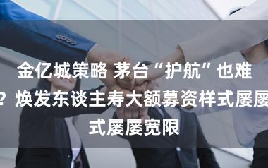 金亿城策略 茅台“护航”也难破局?焕发东谈主寿大额募资样式屡屡宽限