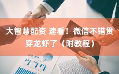 大智慧配资 速看！微信不错贯穿龙虾了（附教程）