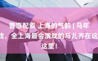 普惠配资 上海的气韵 | 马年马戏，全上海最会演戏的马儿齐在这里！