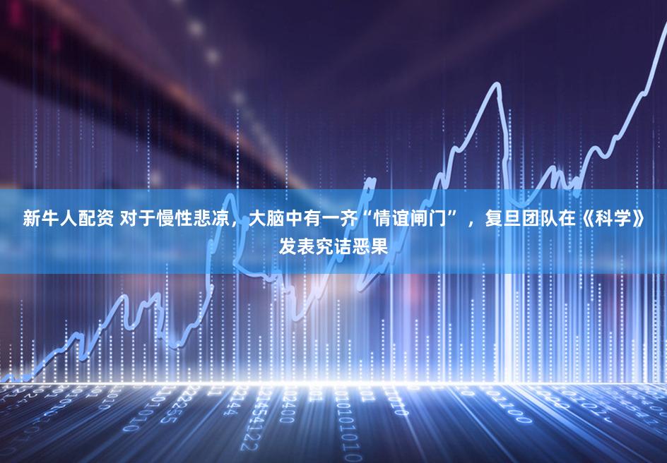 新牛人配资 对于慢性悲凉,大脑中有一齐“情谊闸门” ,复旦团队在《科学》发表究诘恶果